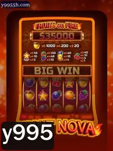 Descubra o Universo de FruitNova: Uma Nova Experiência de Jogo
